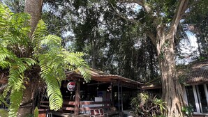 Un espace extérieur aménagé dans un style rustique, avec des bancs en bois et une enseigne Coca-Cola, le tout entouré d’une végétation luxuriante et de grands arbres.