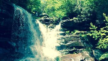 Une cascade entourée d’une végétation luxuriante.