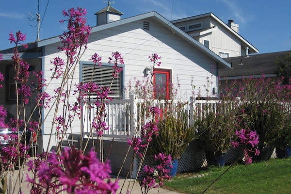 "THE ORCHID COTTAGE"