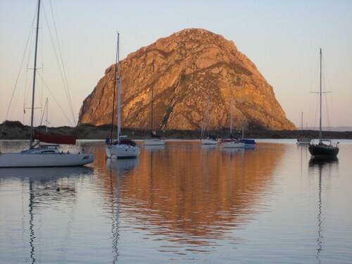 "THE ORCHID COTTAGE" PETS OK!           