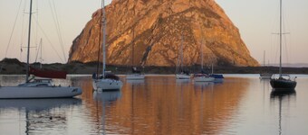 "THE ORCHID COTTAGE" PETS OK!           