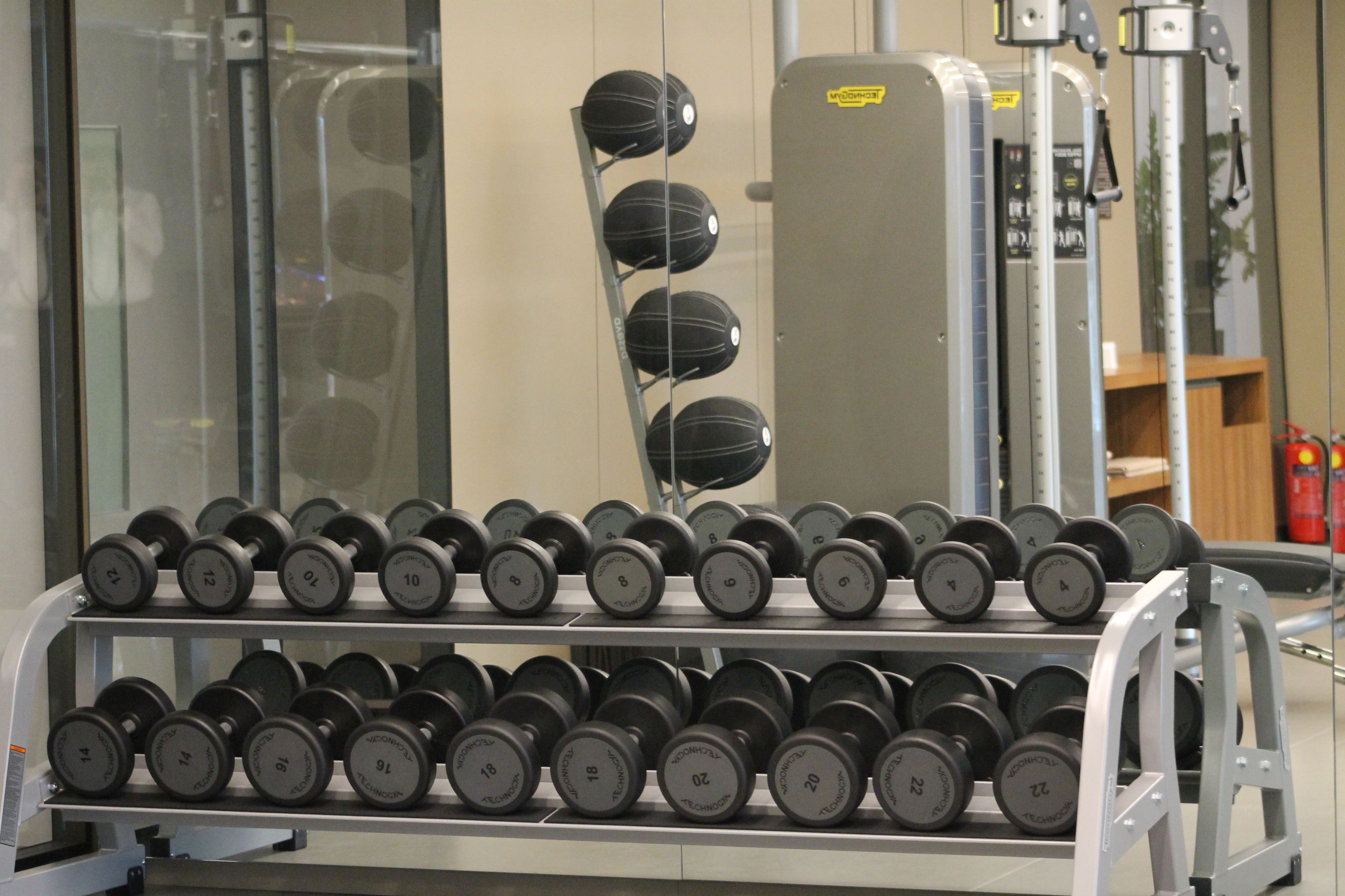 A weightlifting rack with various dumbbells arranged by weight.