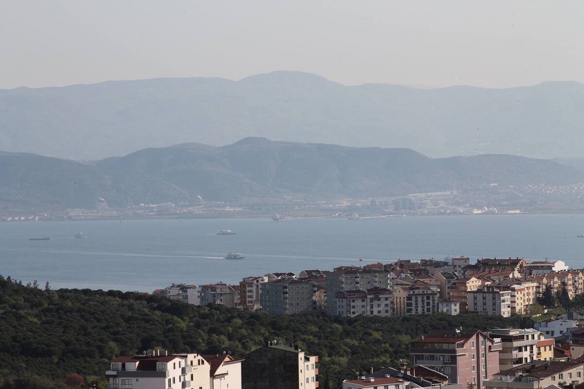 A coastal cityscape with multi-story buildings, a body of water, and distant mountains.