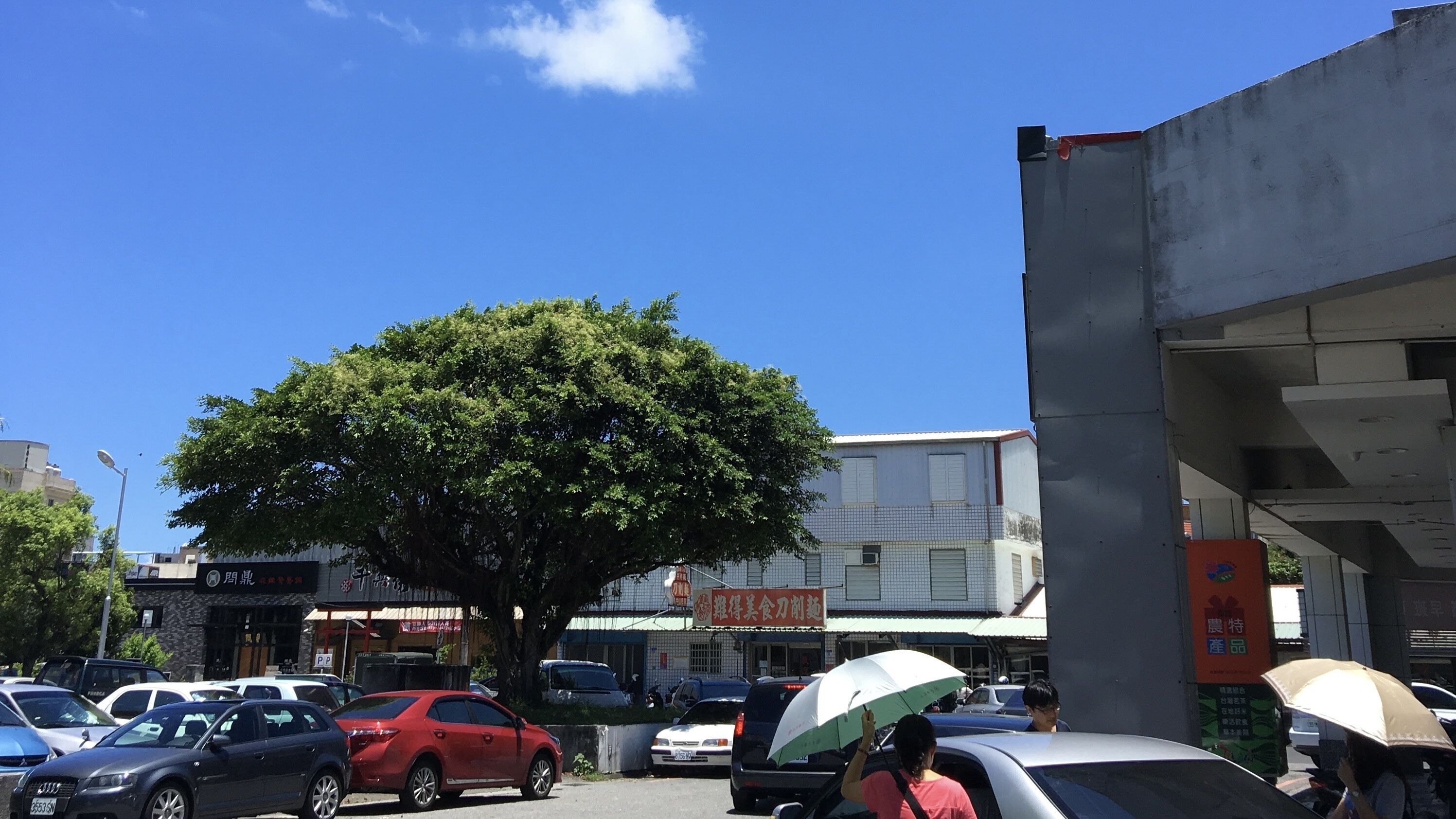 Um parque de estacionamento com carros e uma árvore.