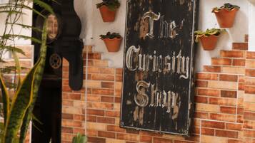 A brick wall with a sign reading "The Curiosity Shop" and a "PUB" sign above it.