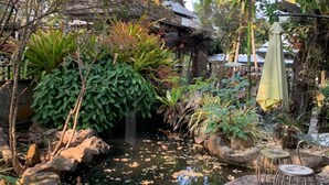 Un jardín tranquilo con un estanque, abundante vegetación y un edificio tradicional al fondo.