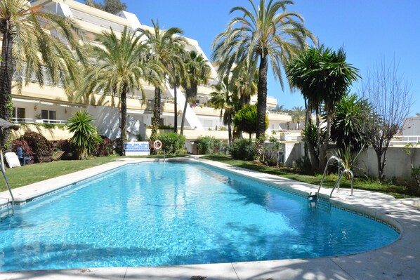 A rectangular swimming pool with clear blue water, surrounded by palm trees and a building with balconies.