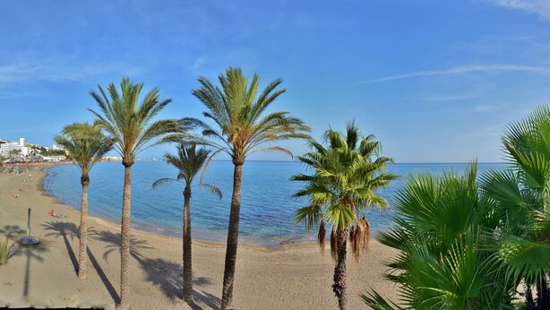 A beach with palm trees, a clear sky, and a calm sea. - Bright&Large Penthouse, 2Terraces, Pools, Garden, 2 swimming Pools,Beachs, Golf (Benalmádena)