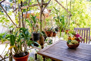 Jardín