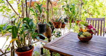 An Bang Morning Glory Beach Homestay