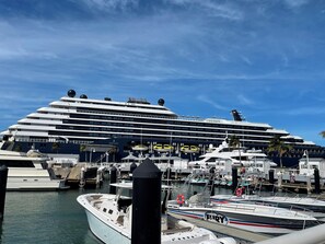 Ein großes Kreuzfahrtschiff liegt in einer Marina mit kleineren Booten vor Anker, bewölkter Himmel.