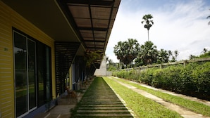 A building with a covered walkway, a concrete pathway, and a row of palm trees in the background. - Wangthong Beach Resort (Laem Sing)
