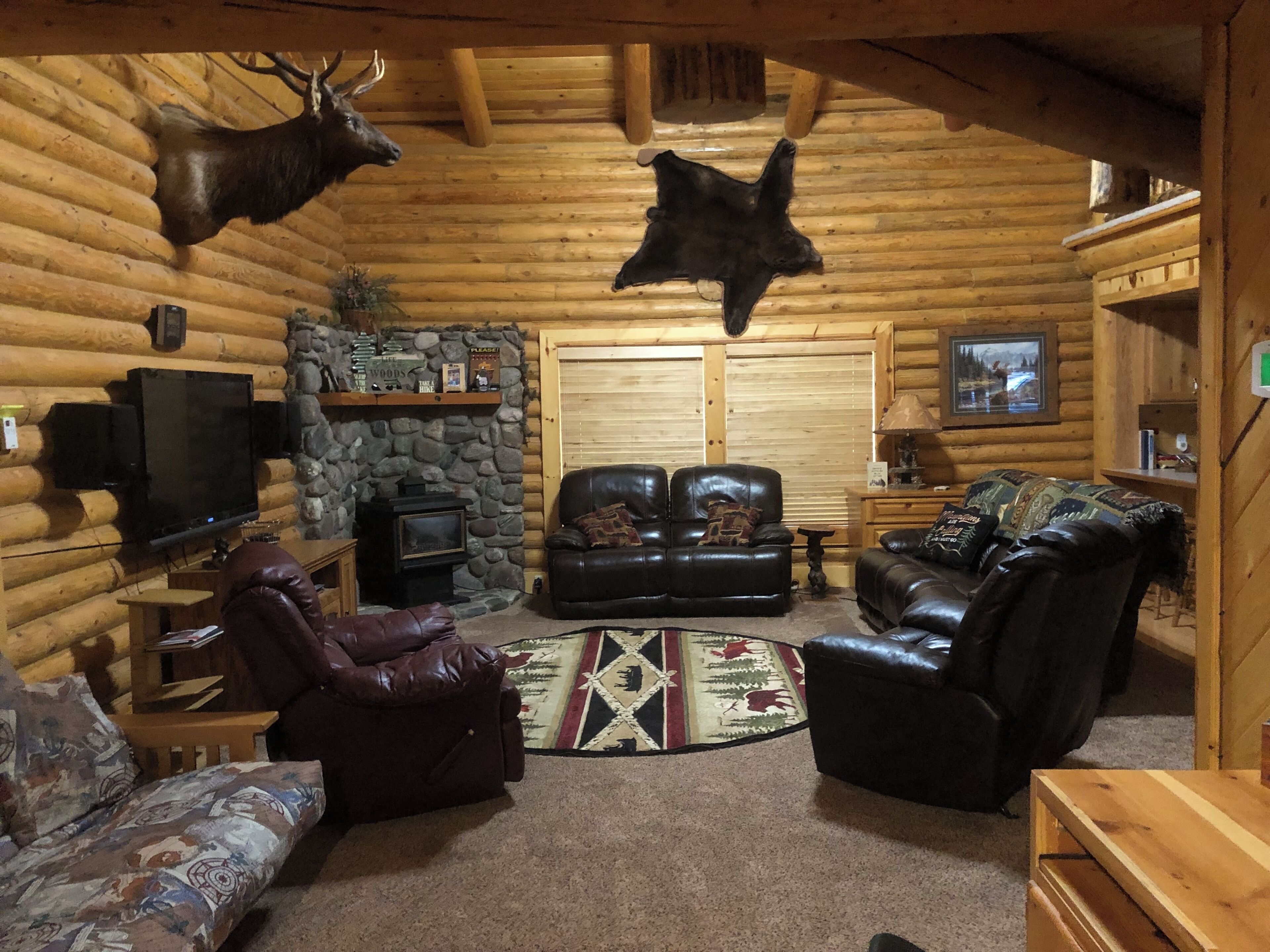 TV, fireplace, video games, DVD player