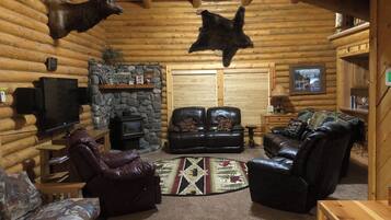 TV, fireplace, video games, DVD player