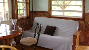 TV, fireplace, DVD player