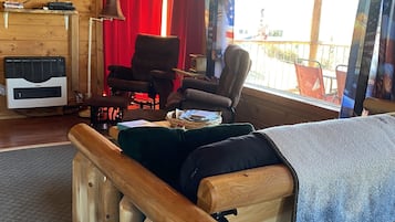 TV, DVD player, books, video library