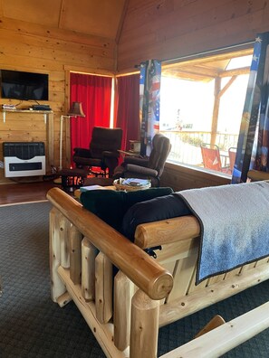 TV, DVD player, books, video library