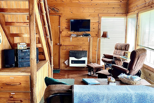 TV, DVD player, books, video library