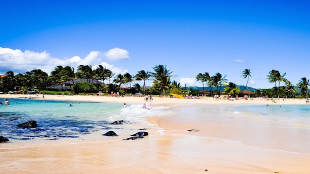 A beach with clear turquoise water, palm trees, and beachgoers.