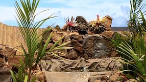 A small water feature surrounded by rocks and plants.