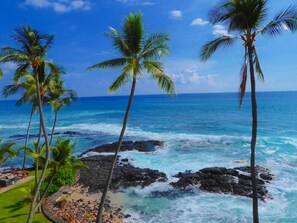 A beach with palm trees, ocean waves, and a clear sky.