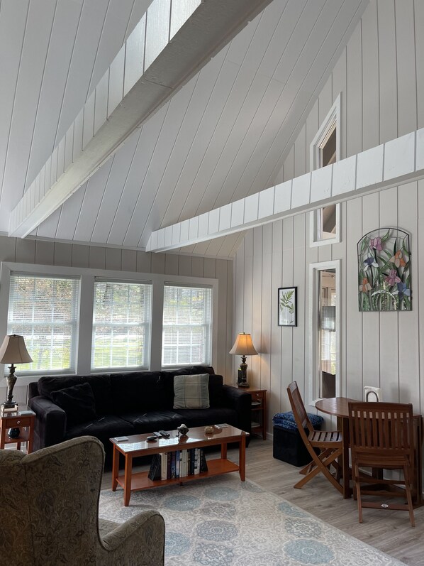 Smart TV, fireplace, books