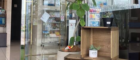 Un interior moderno con un separador de vidrio, césped artificial y estanterías de madera con plantas y un juguete.