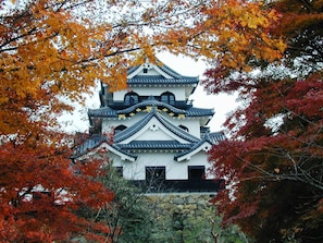 A traditional Japanese castle with multiple tiers and a stone base, surrounded by autumn foliage. - Toyoko Inn Hikone Station Higashi (Hikone)