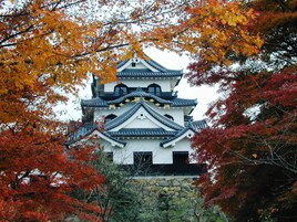 Un castillo japonés tradicional con varios niveles y base de piedra, rodeado de follaje otoñal.