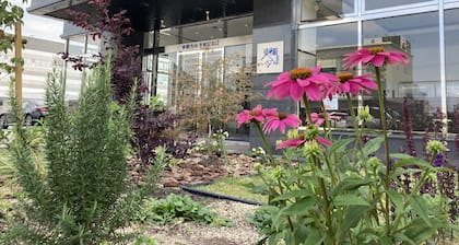 Toyoko Inn Hikone Station Higashi