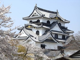Un castillo japonés tradicional con varios niveles y techos ornamentados, rodeado de cerezos en flor.
