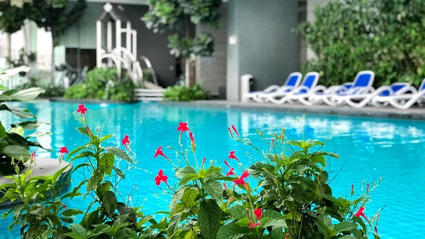 Una piscina interior con agua azul, rodeada de sillones de descanso y follaje.