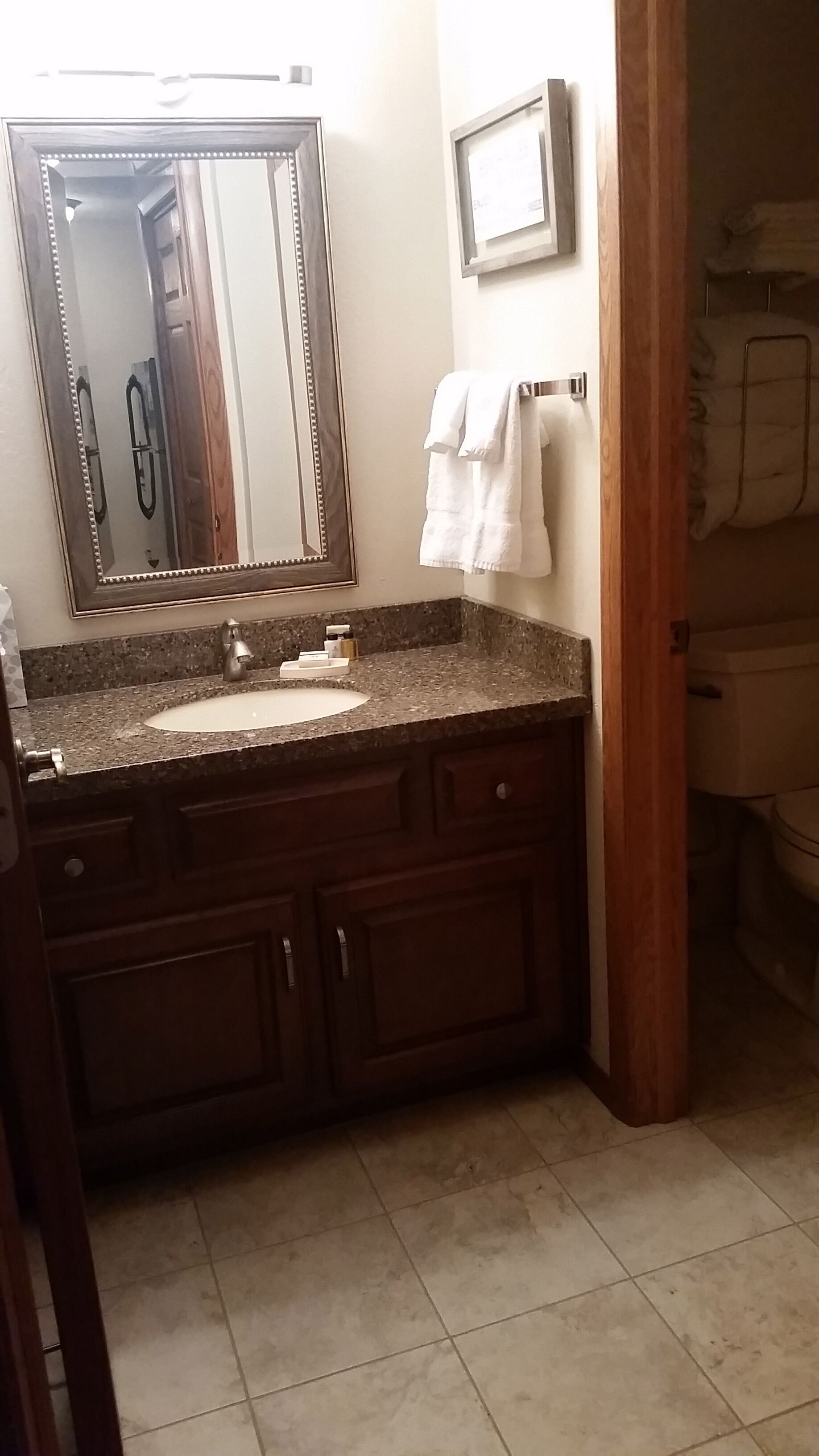 Un baño con encimera de granito, un espejo grande, armarios de madera y un inodoro visible a través de una puerta abierta.