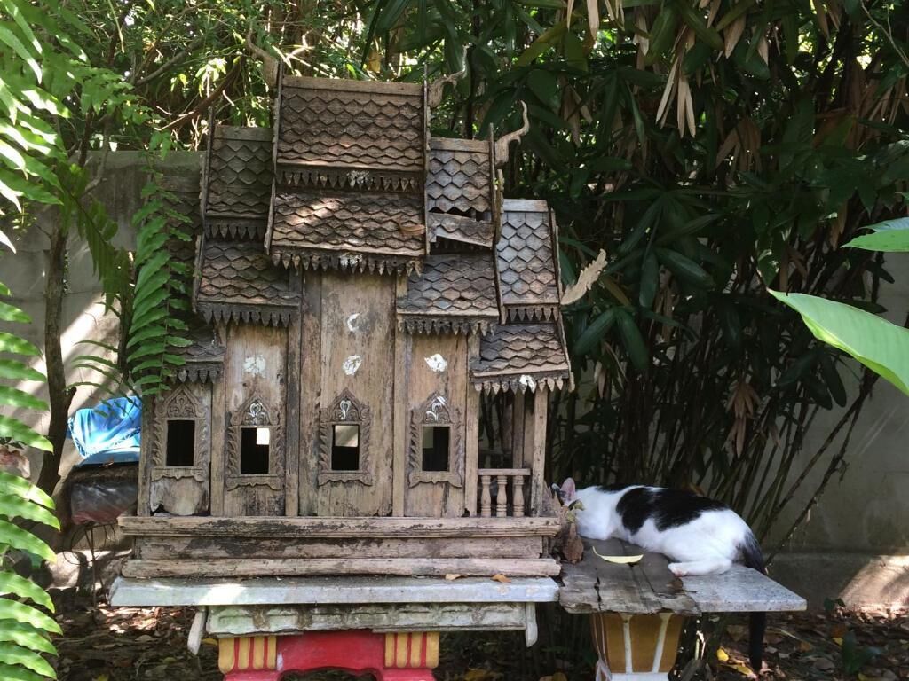 Foto - Fern House Retreat