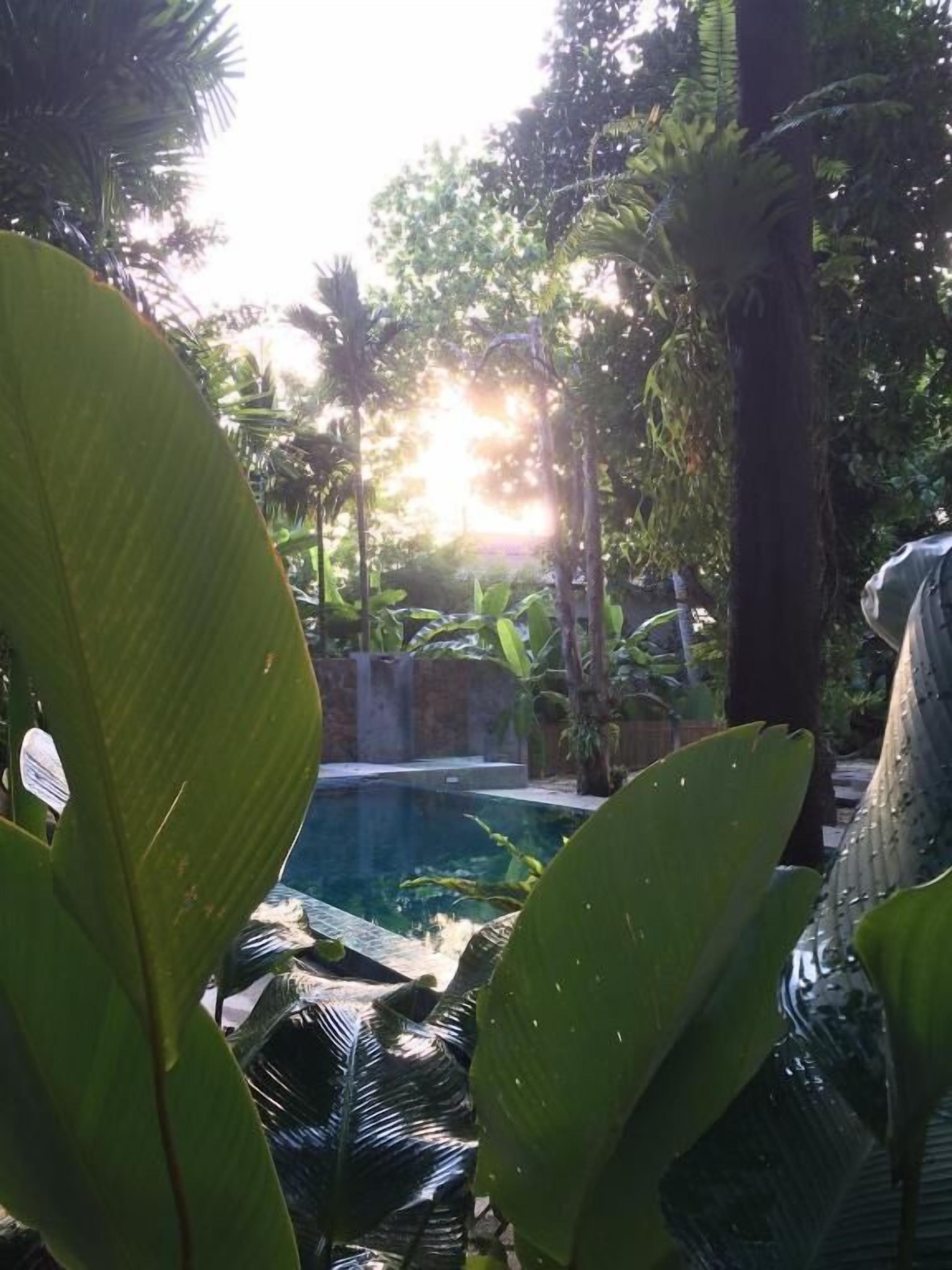 Foto - Fern House Retreat