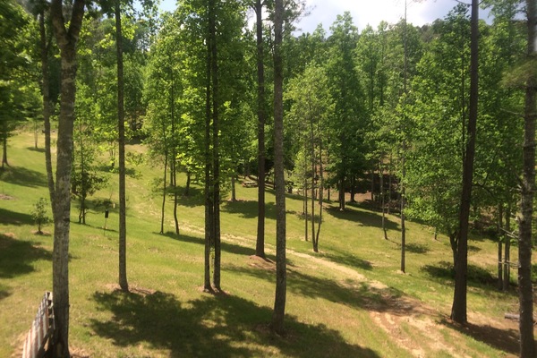 المنطقة المحيطة بالمنشأة