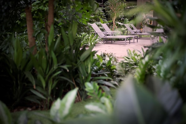 Terrein van de accommodatie