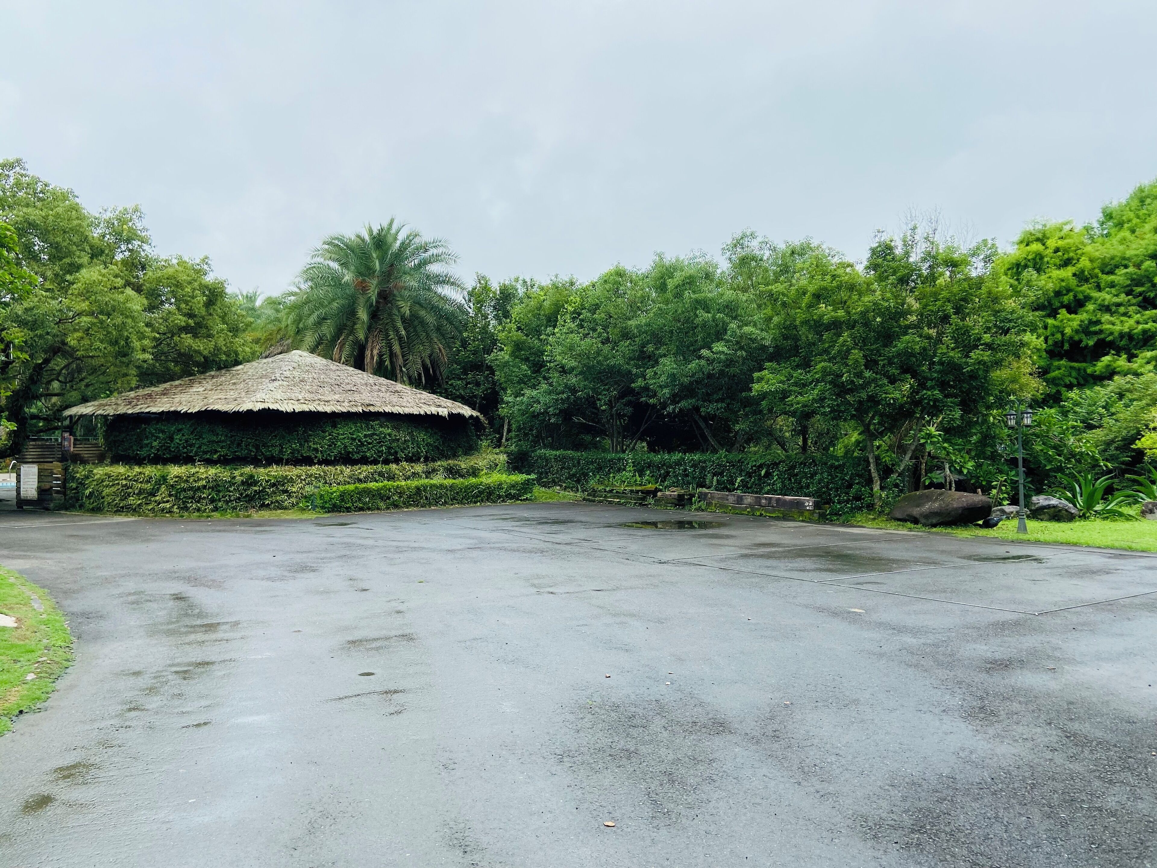 A paved area with a thatched-roof structure surrounded by lush greenery and trees.