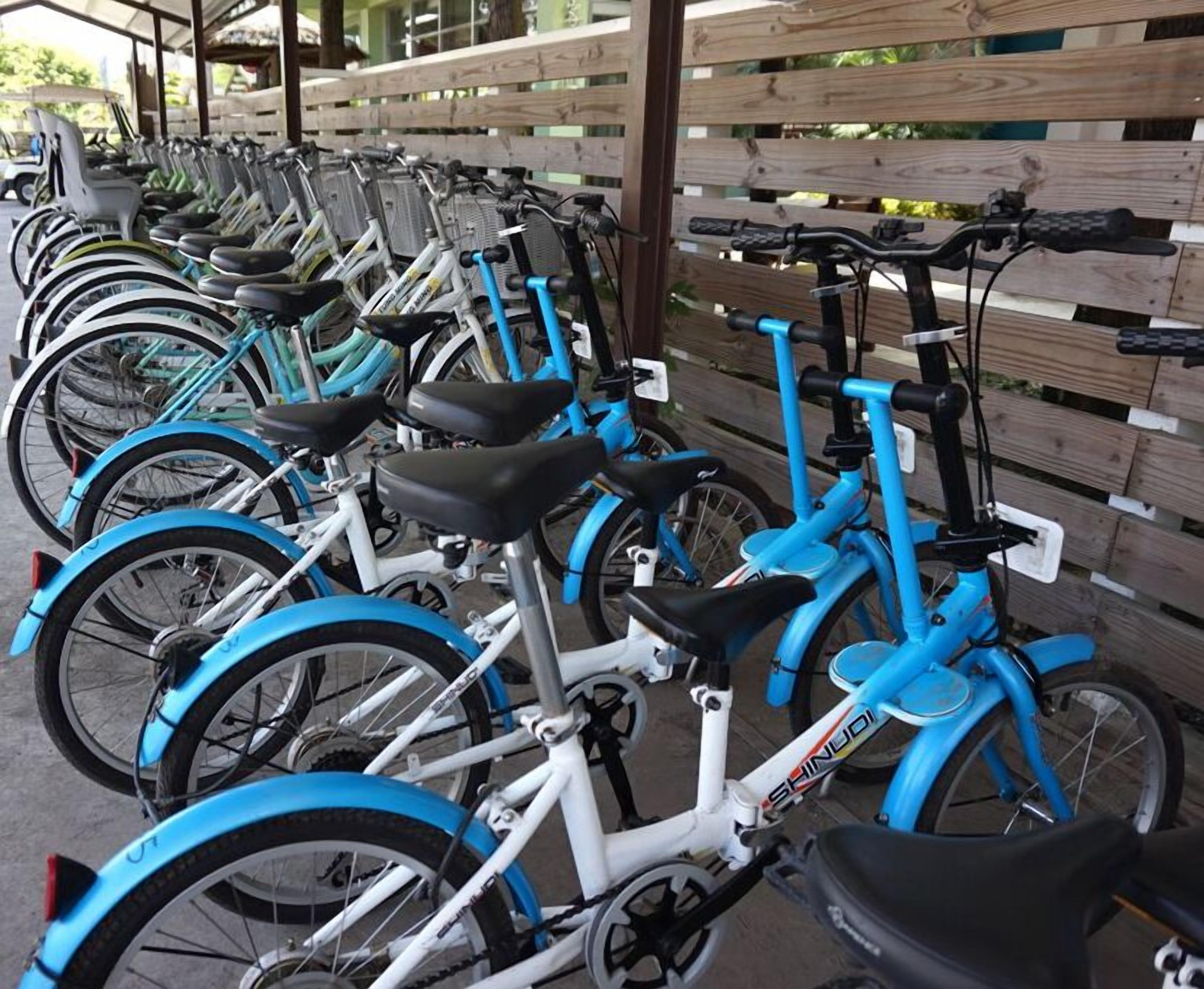 Une rangée de vélos d’appartement, avec une clôture en bois en arrière-plan.