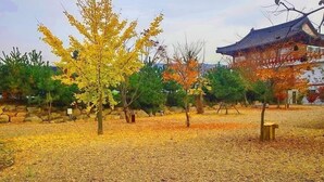 Un patio coreano tradicional con senderos de piedra, un banco de madera y un edificio con tejado de tejas.