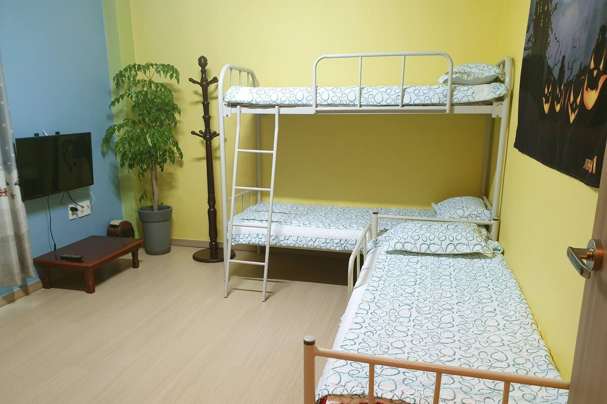 A room with two bunk beds, a television, a plant, and a wooden bench.