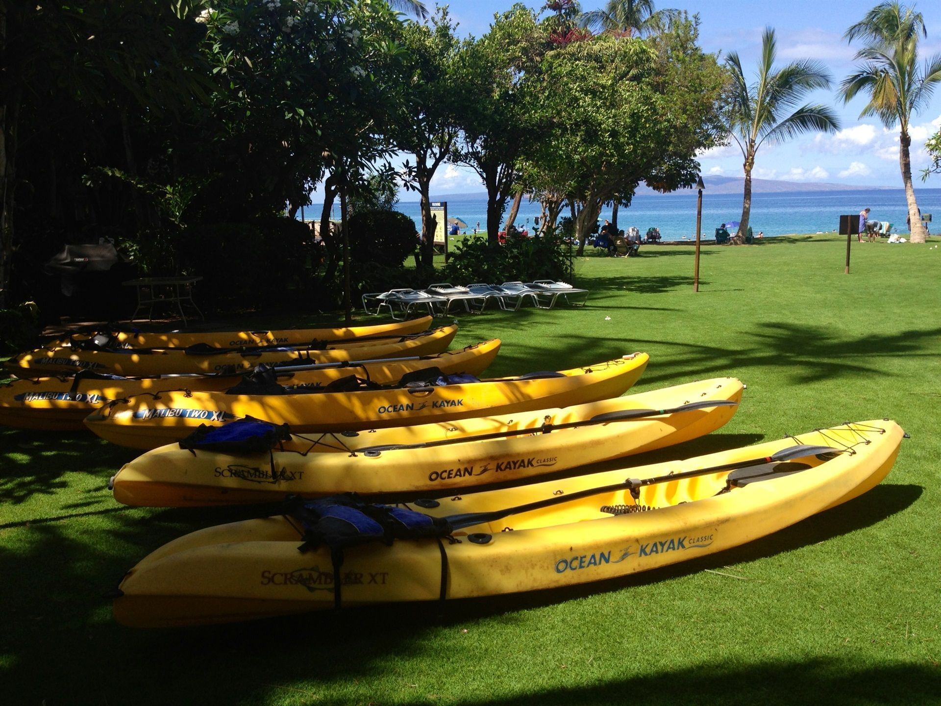 Mehrere gelbe Kajaks mit dem Aufdruck 'Ocean Kayak Classic' stehen auf einer Wiese mit Blick auf das Meer und Palmen im Hintergrund.