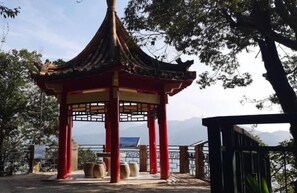 Bar (en el alojamiento)