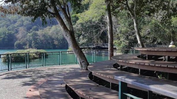 Une terrasse en bois, dotée de bancs, qui offre une vue sur une étendue d’eau et est entourée d’arbres.