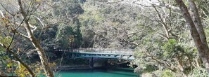 A bridge over a river surrounded by trees. - Ze Hu B&B (Yuchi)