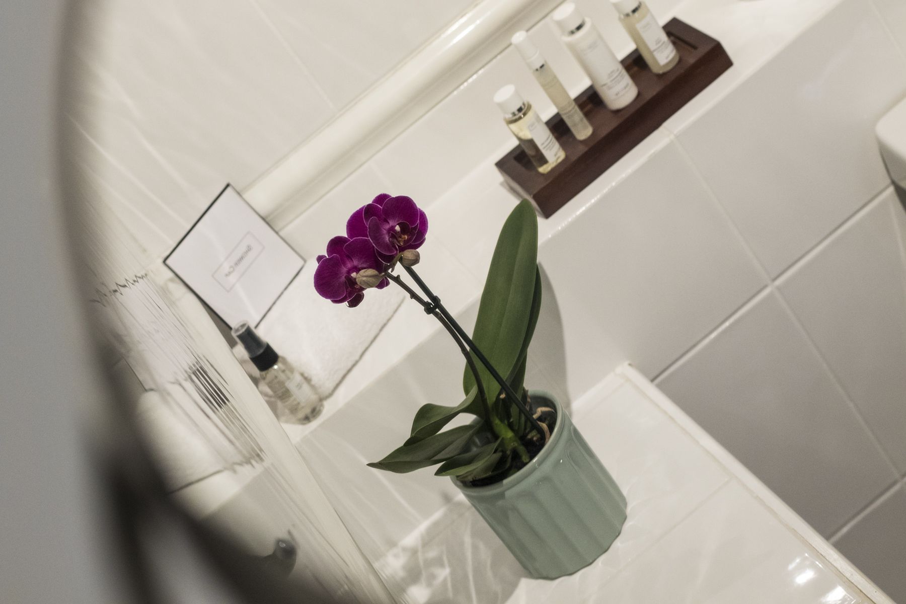 Un baño con una bañera blanca, una orquídea en maceta verde y un estante con artículos de aseo.