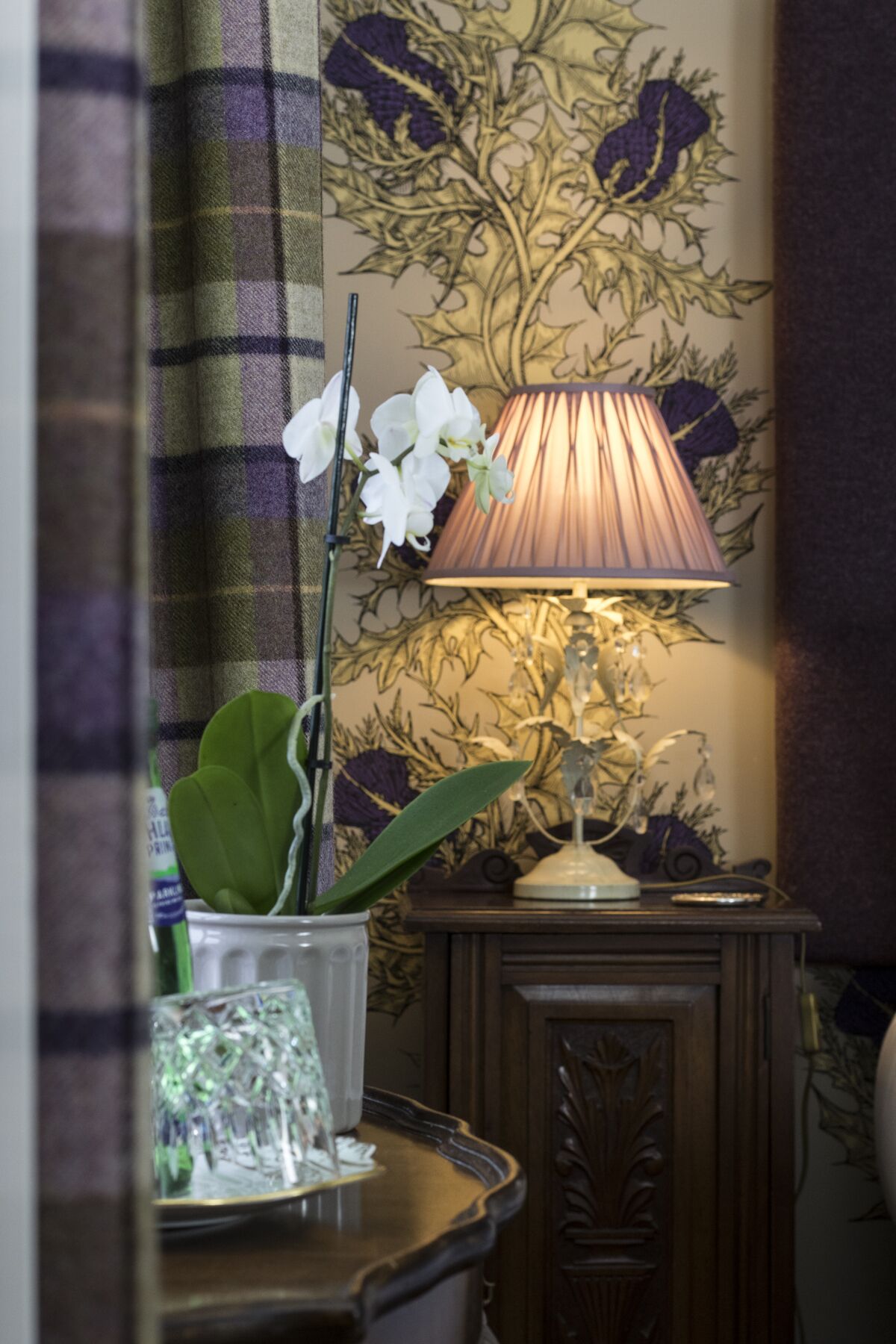 A room with a floral wallpaper, a table lamp, and a potted orchid.