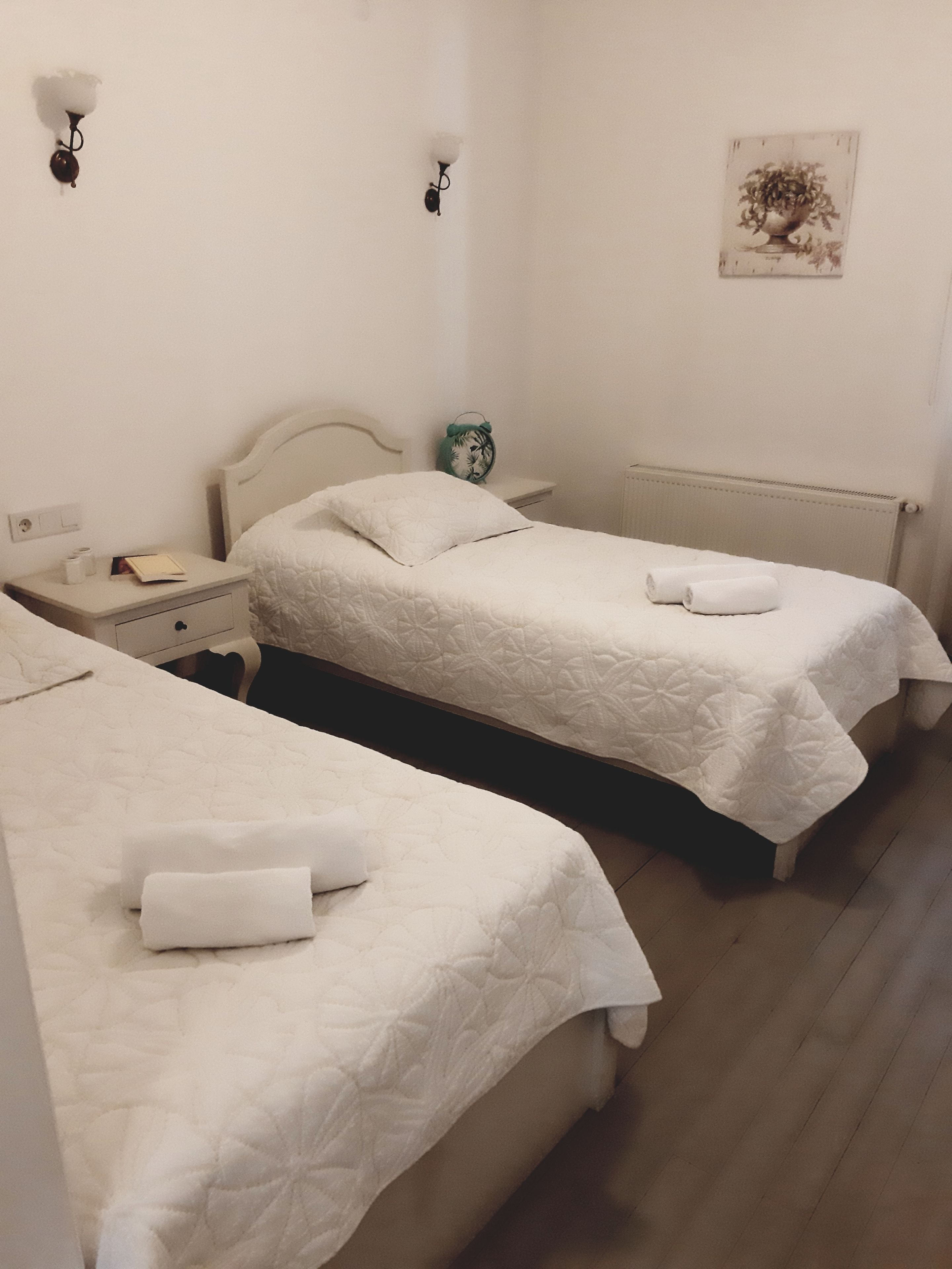 standard twin room | minibar, individually decorated, individually furnished, desk