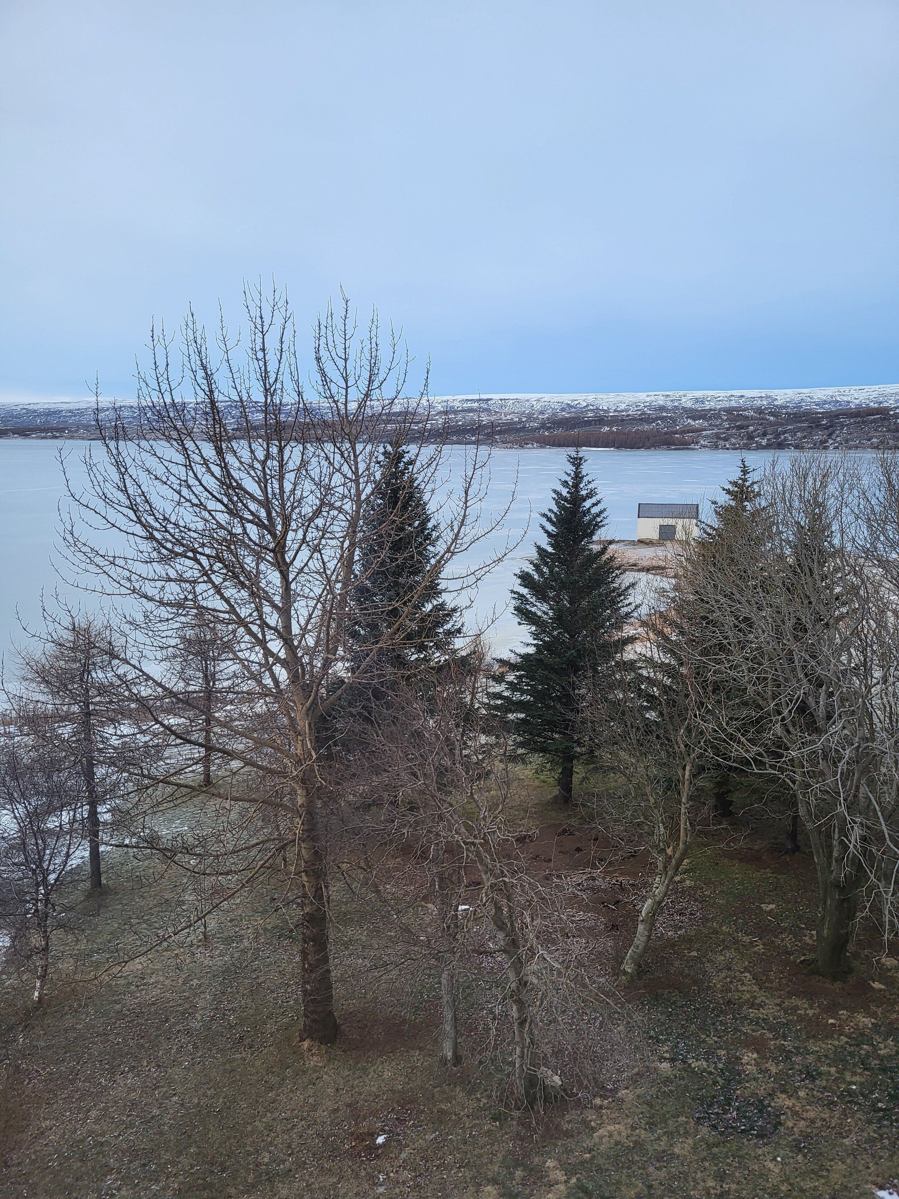 Vista de un lago con árboles en primer plano y un edificio al otro lado del agua.