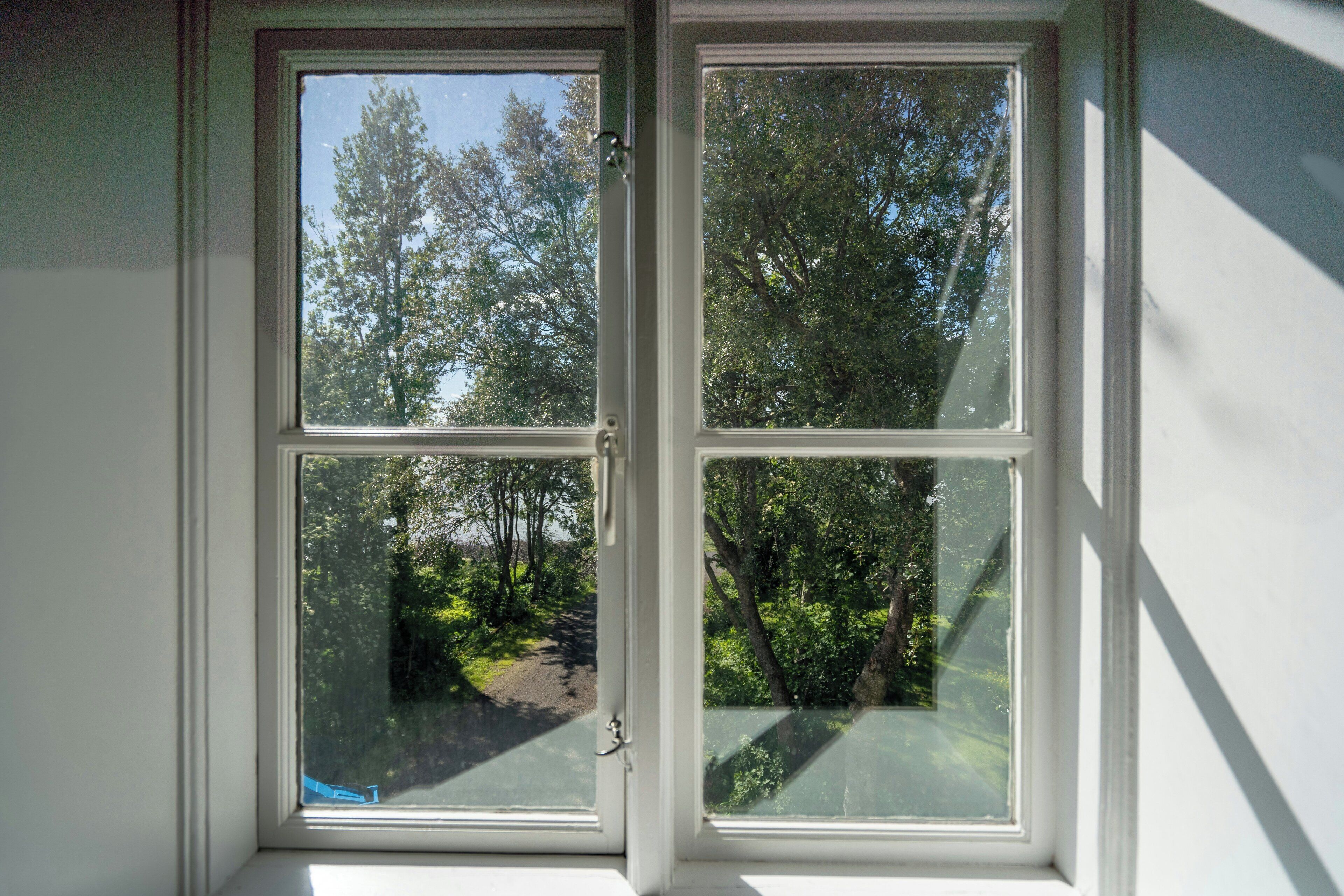 A window with a view of a forested area.